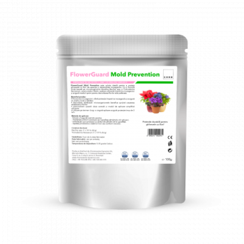 FlowerGuard Mold Prevention, Produs natural pentru biocontrolul mucegaiului din ghivece, 100 g